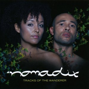 Tracks Of The Wanderer