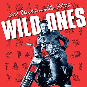 Wild Ones - 30 Untamable Hits