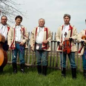 Musica Folklorica 的头像