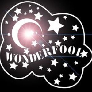 Wonderfool 的头像