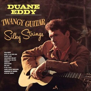 Twangy Guitar, Silky Strings