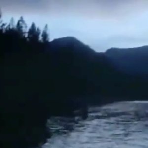 vanishing trails 的头像