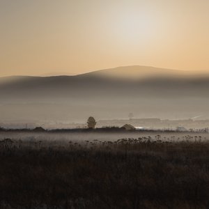 Desert