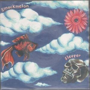 Sleeper