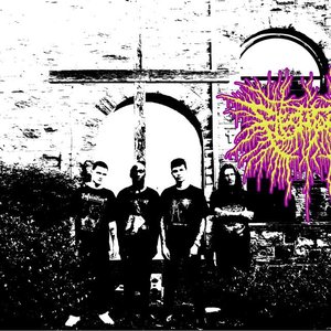 Flesh Tomb 的头像