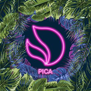 Image for 'Pica'