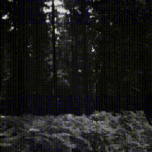 spook s/t 的头像