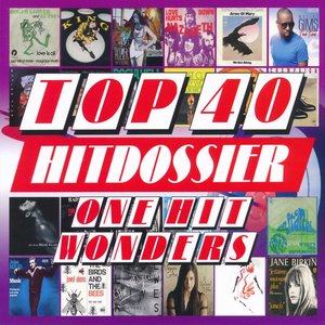 TOP 40 HITDOSSIER - One Hit Wonders