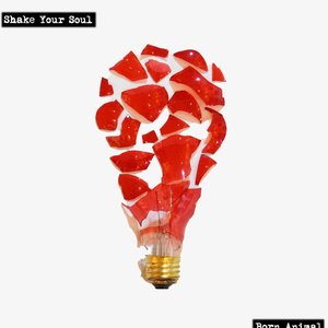 Shake Your Soul
