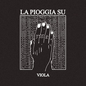 Viola