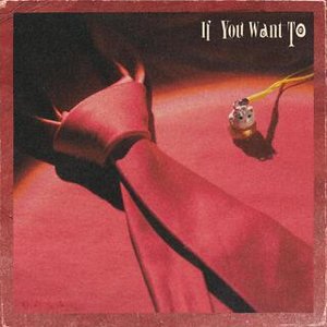 IF YOU WANT TO - Single