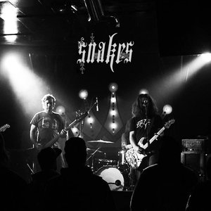Brett Netson & Snakes için avatar