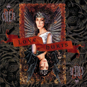 Cher - 100 Pure Love [disc 2] - Zortam Music