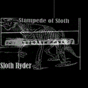 Stampede of Sloth 的头像