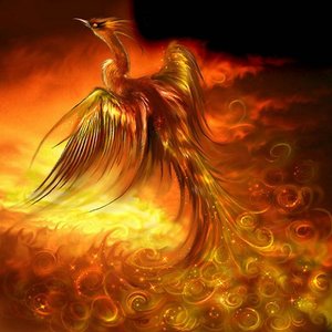 Image for 'phoenixmusic'