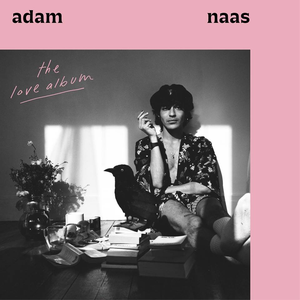 Adam Naas - The Love Album - Zortam Music