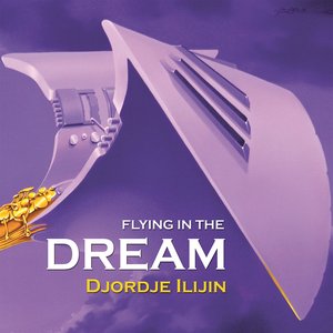Flying in the Dream