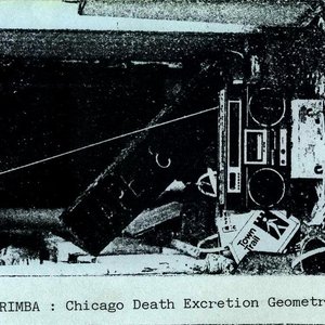 Image pour 'Chicago Death Excretion Geometry'