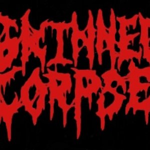 SKINNED CORPSE 的头像