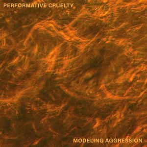 Modeling Aggression