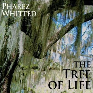 The Tree Of Life