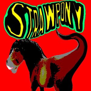 StrawPony 的头像