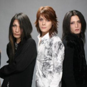 D.CROWS 的头像