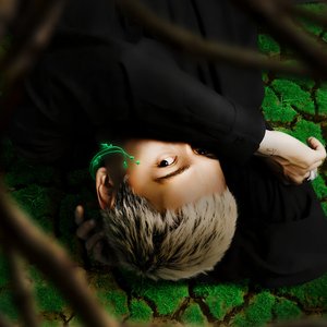 AN - Single