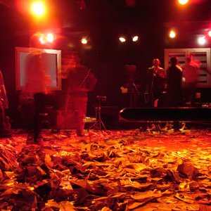 Cabaret Of Complexity 的头像