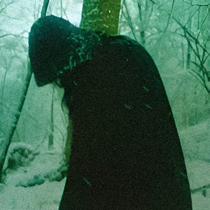 Moorgeist 的头像