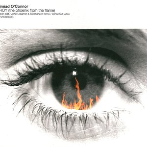 “Troy (The Phoenix From the Flame) Remixes”的封面