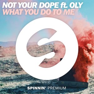 What You Do To Me (feat. Oly) - Single