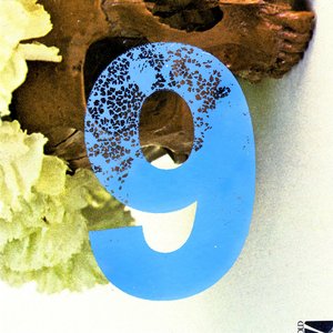 vol. 9 (SP 1200 instrumentals 2004-2007)