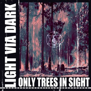 Only Trees In Sight