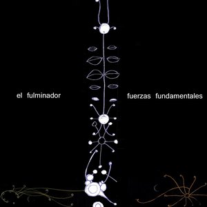 fuerzas fundamentales