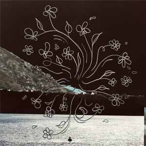 Wild Mountain Thyme - Single