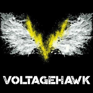 Voltagehawk