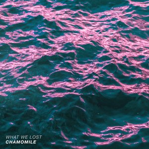 Chamomile - Single