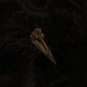 Surfacer