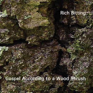 Gospel According to a Wood Thrush