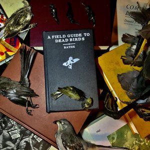 A Field Guide to Dead Birds
