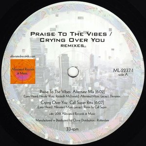 Praise to the Vibes / Crying Over You (Remixes)