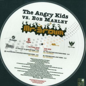 The Angry Kids Vs. Bob Marley 的头像