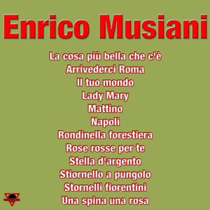 Enrico Musiani