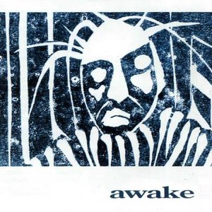 Awake