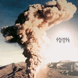Shake Shake Shake - Single