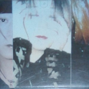 DeAR-VeNUS 的头像