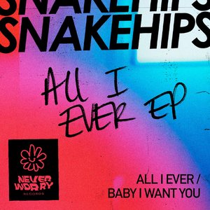 Snakehips - All I Ever Lyrics - Zortam Music