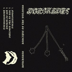 Disciple of the Witness
