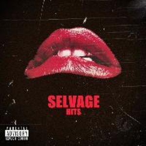 Image for 'Selvage Hits'